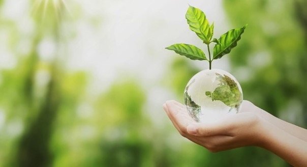 boule de vert representant la planete dans une main avec des feuilles qui poussent, concept ecologique